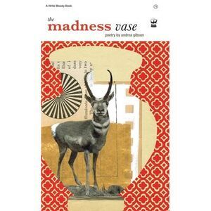 The Madness Vase -- Andrea Gibson